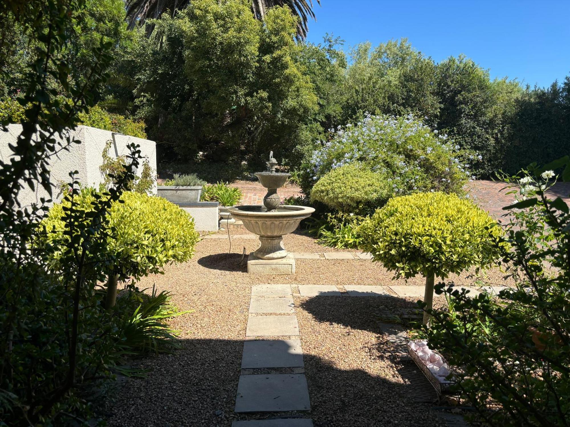 In The Vine Country Manor Guesthouse Stellenbosch Ngoại thất bức ảnh
