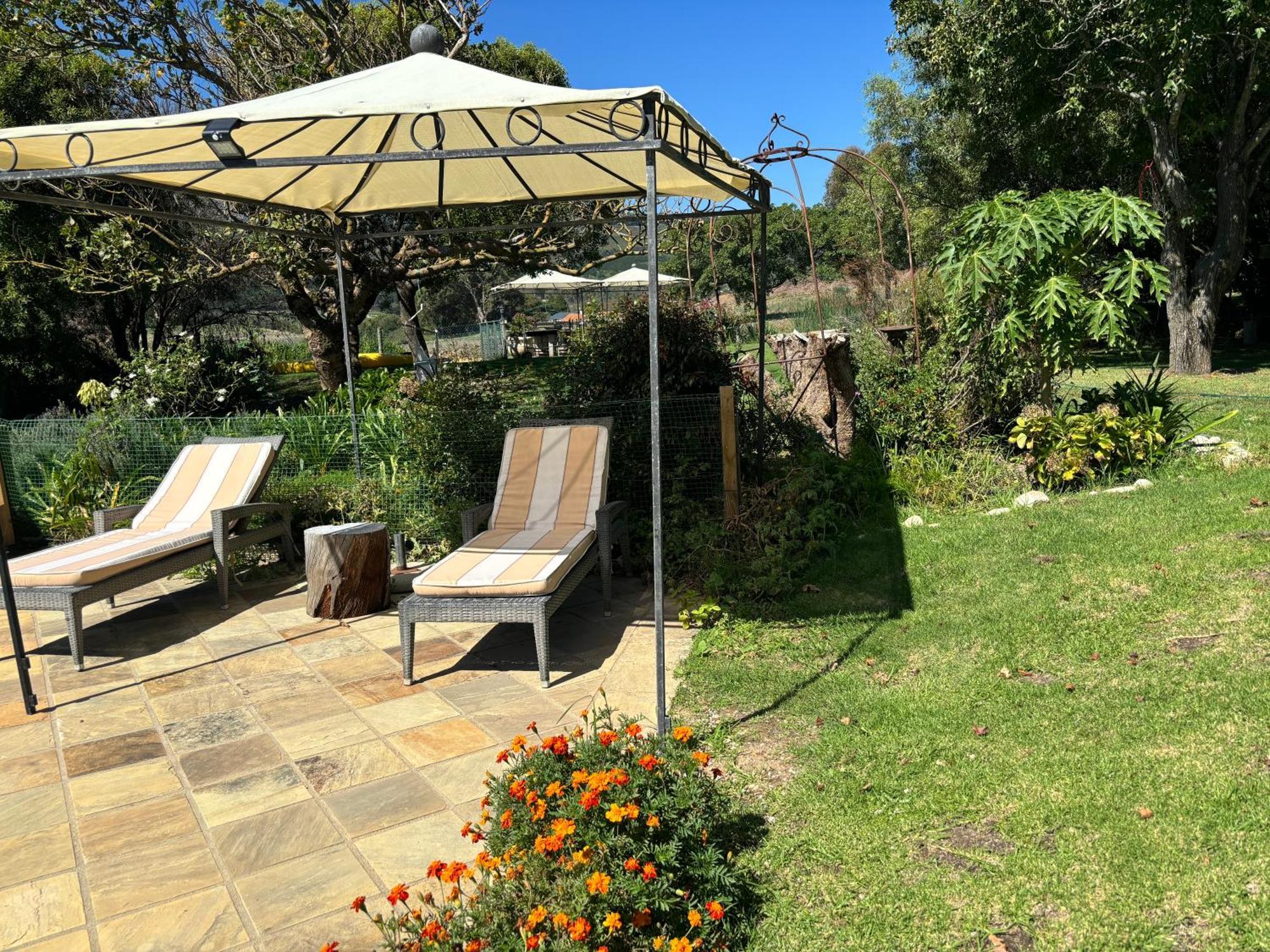 In The Vine Country Manor Guesthouse Stellenbosch Ngoại thất bức ảnh
