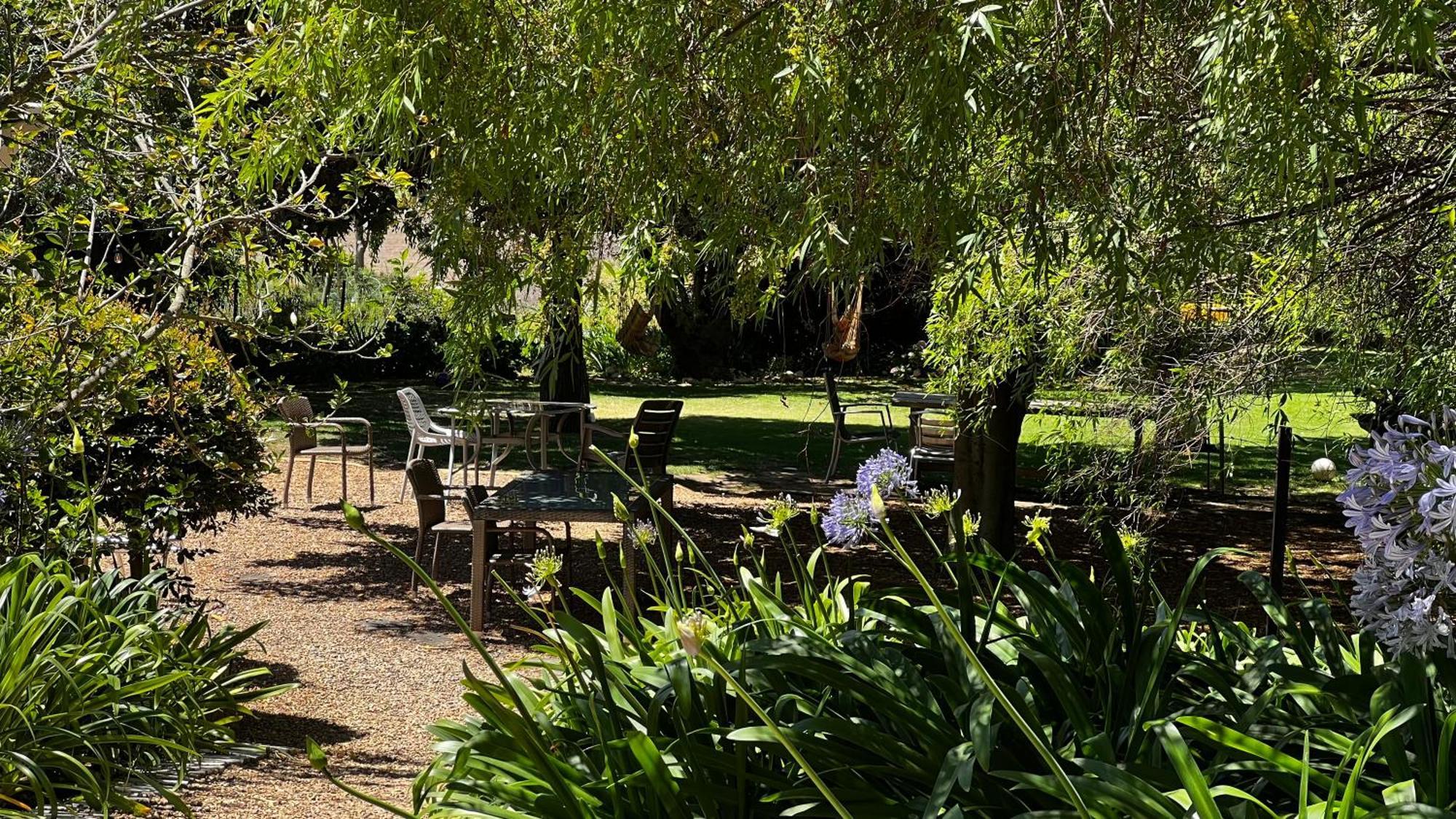 In The Vine Country Manor Guesthouse Stellenbosch Ngoại thất bức ảnh