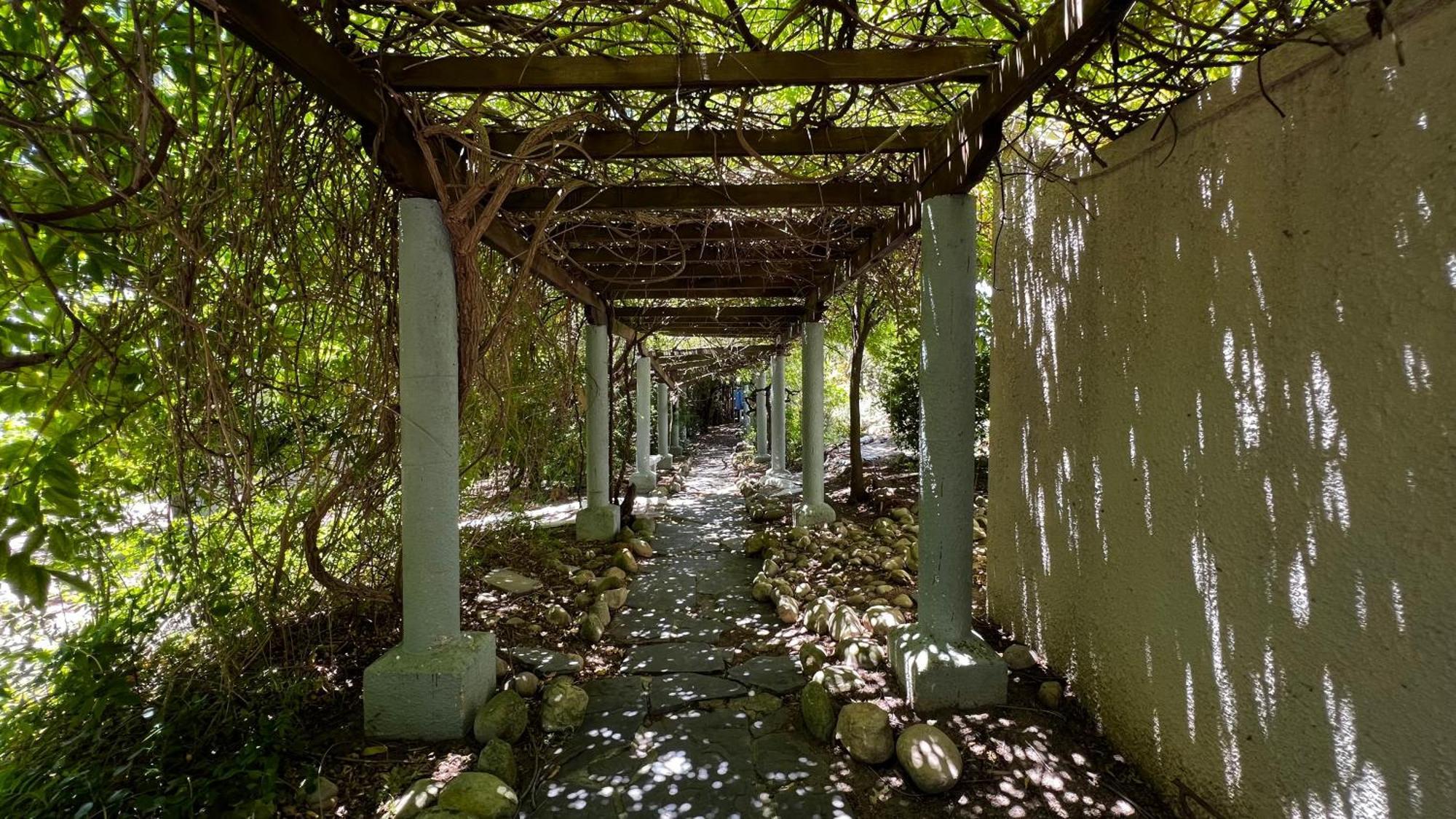 In The Vine Country Manor Guesthouse Stellenbosch Ngoại thất bức ảnh