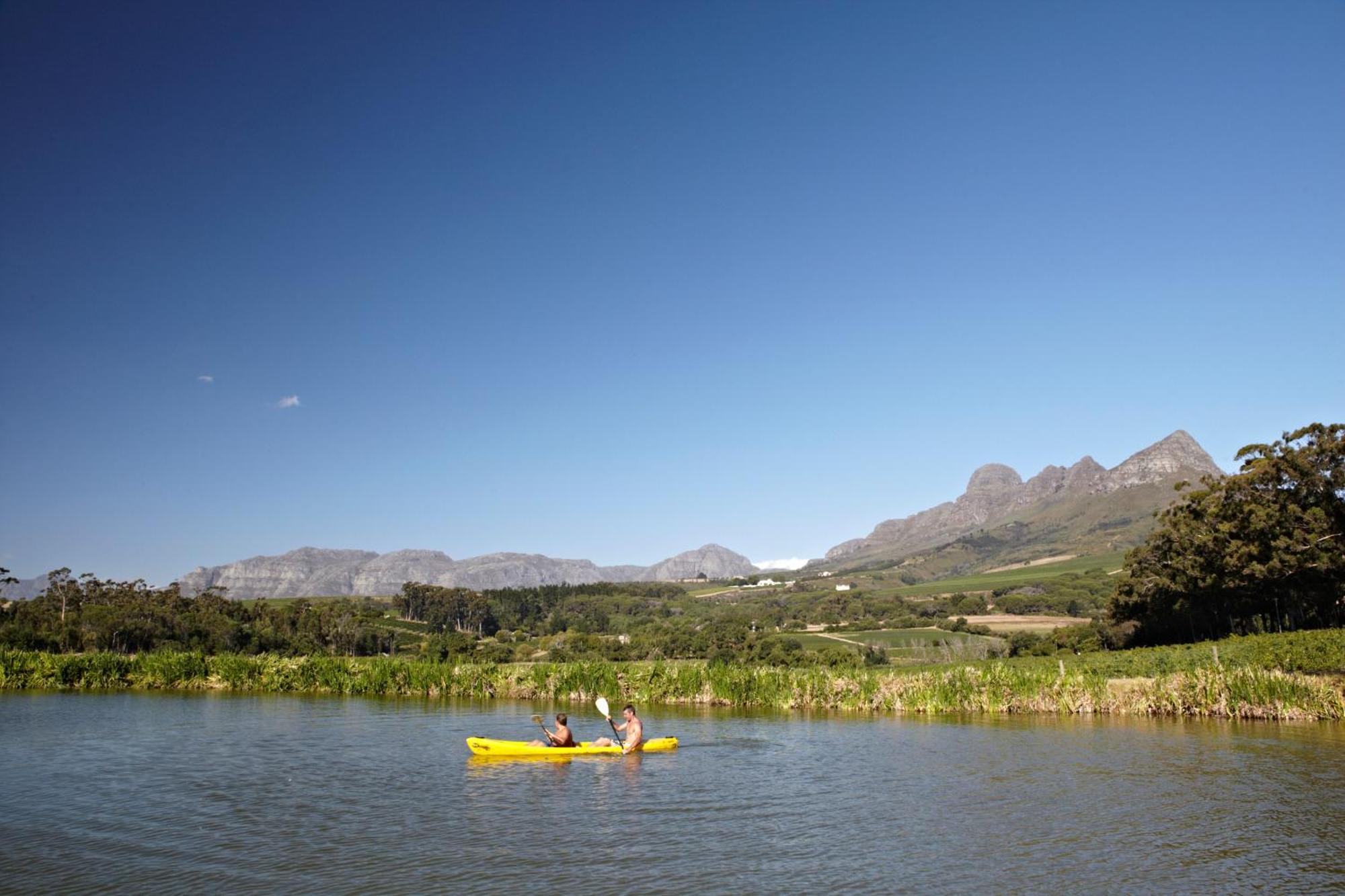 In The Vine Country Manor Guesthouse Stellenbosch Ngoại thất bức ảnh
