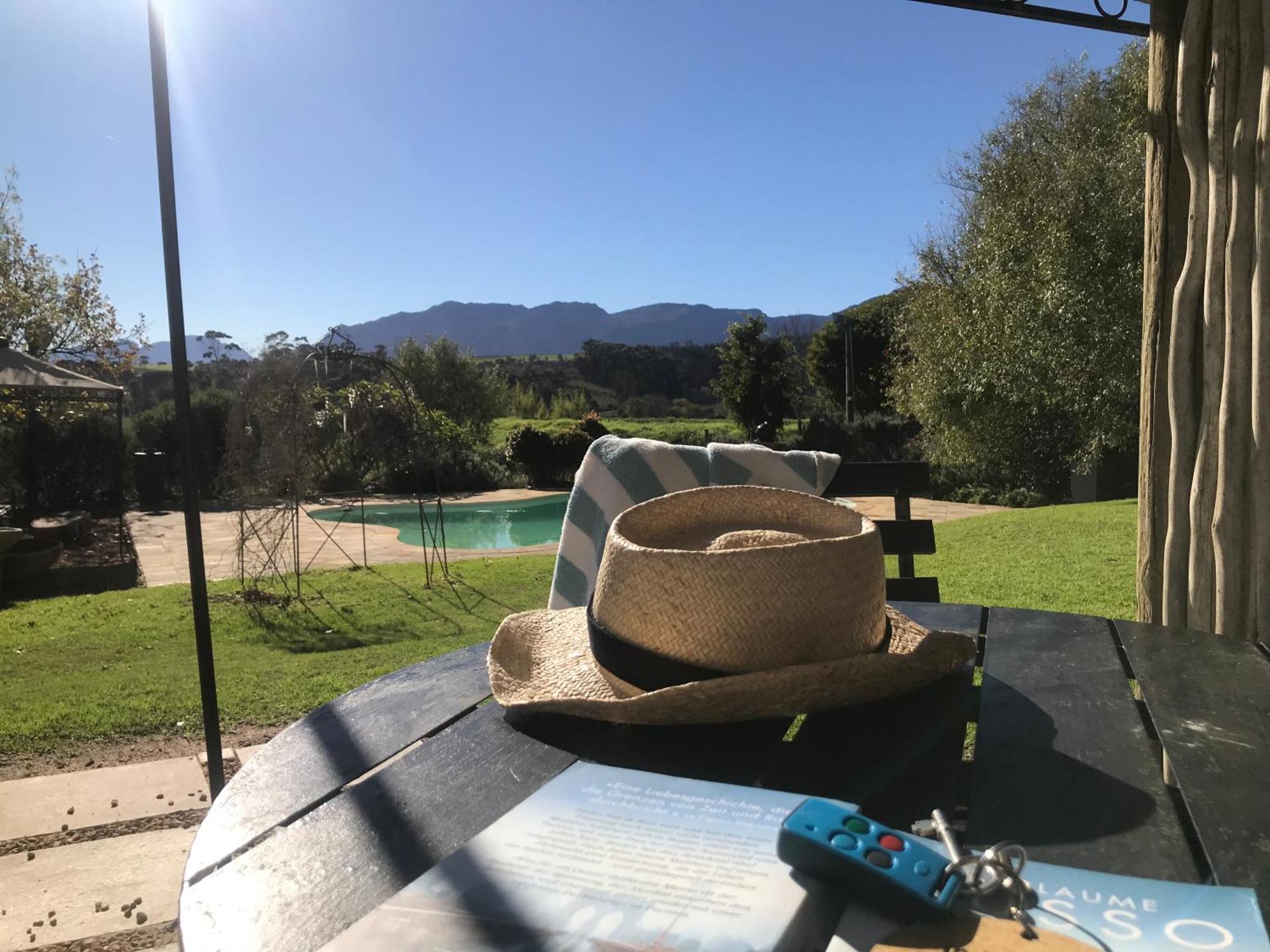 In The Vine Country Manor Guesthouse Stellenbosch Ngoại thất bức ảnh