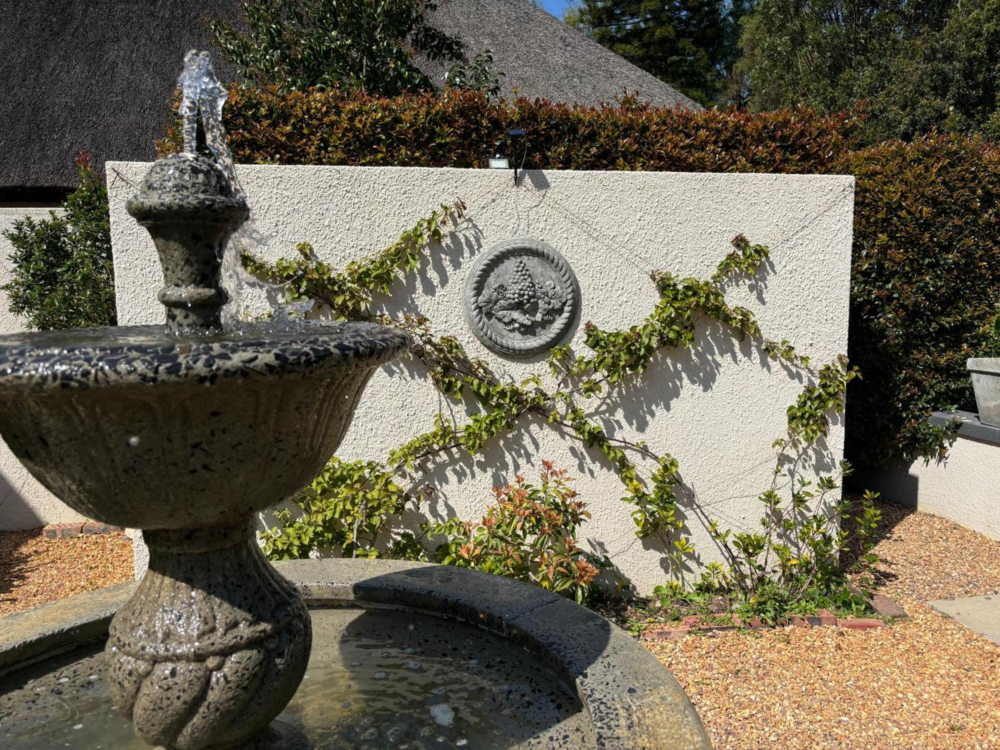 In The Vine Country Manor Guesthouse Stellenbosch Ngoại thất bức ảnh