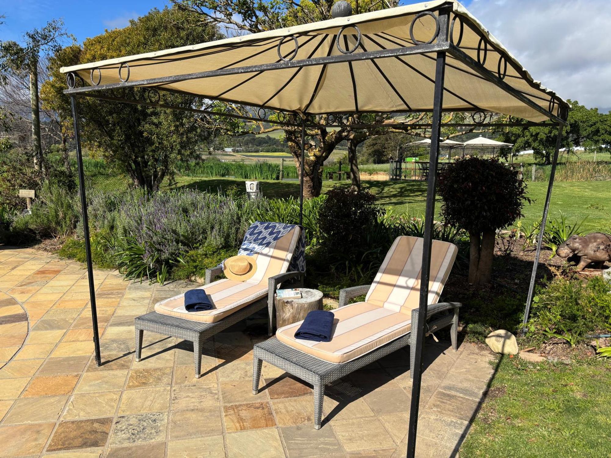 In The Vine Country Manor Guesthouse Stellenbosch Ngoại thất bức ảnh