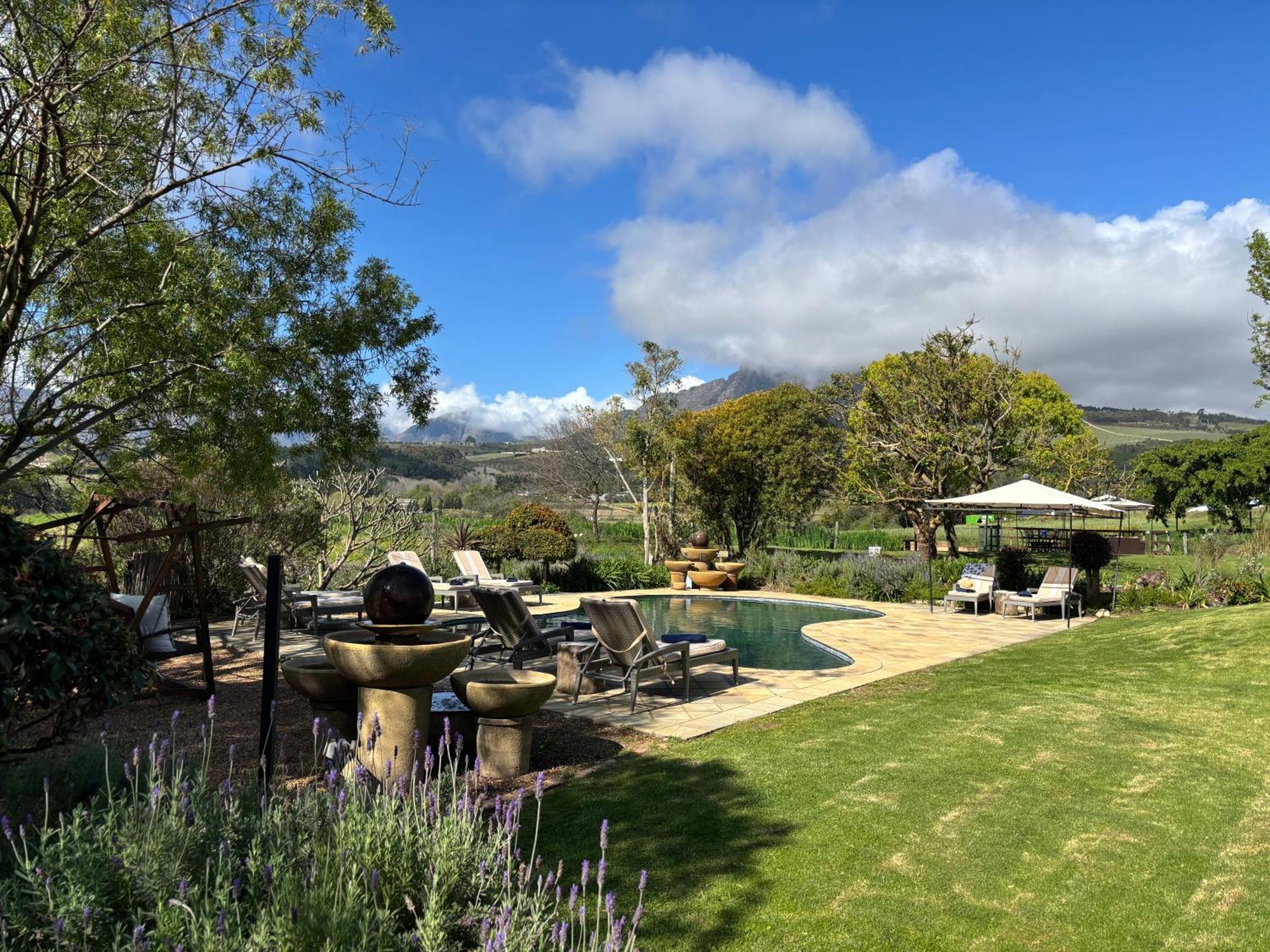 In The Vine Country Manor Guesthouse Stellenbosch Ngoại thất bức ảnh