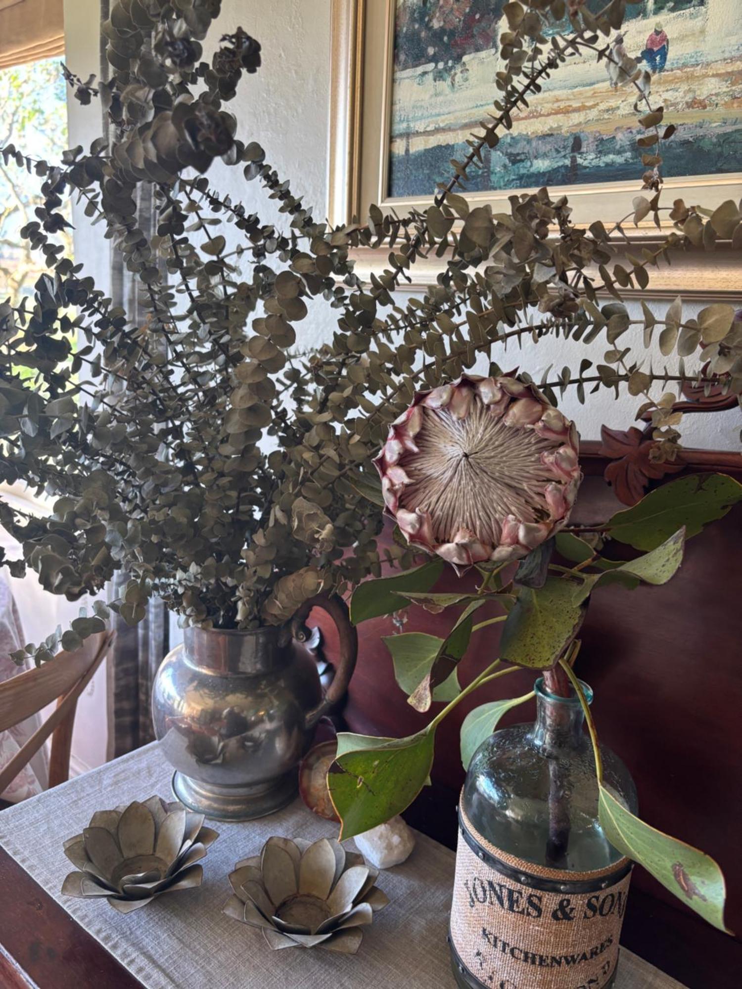 In The Vine Country Manor Guesthouse Stellenbosch Ngoại thất bức ảnh